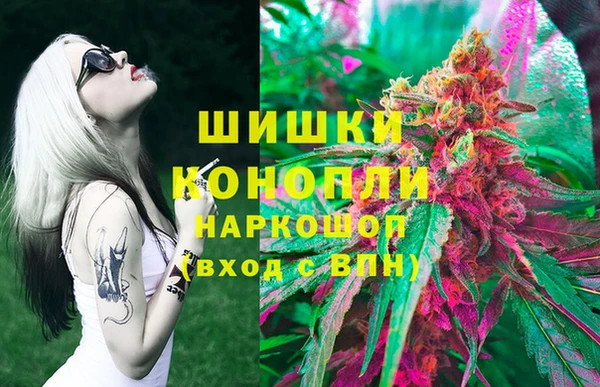 spice Алексеевка