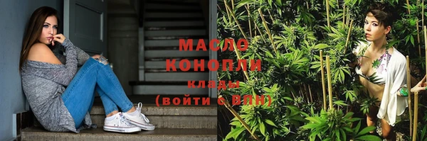 2c-b Горняк