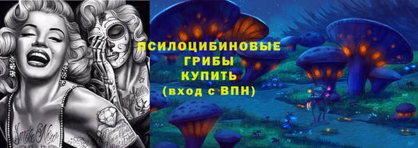 ГАЛЛЮЦИНОГЕННЫЕ ГРИБЫ Алексин