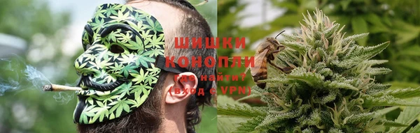 трава Гусев
